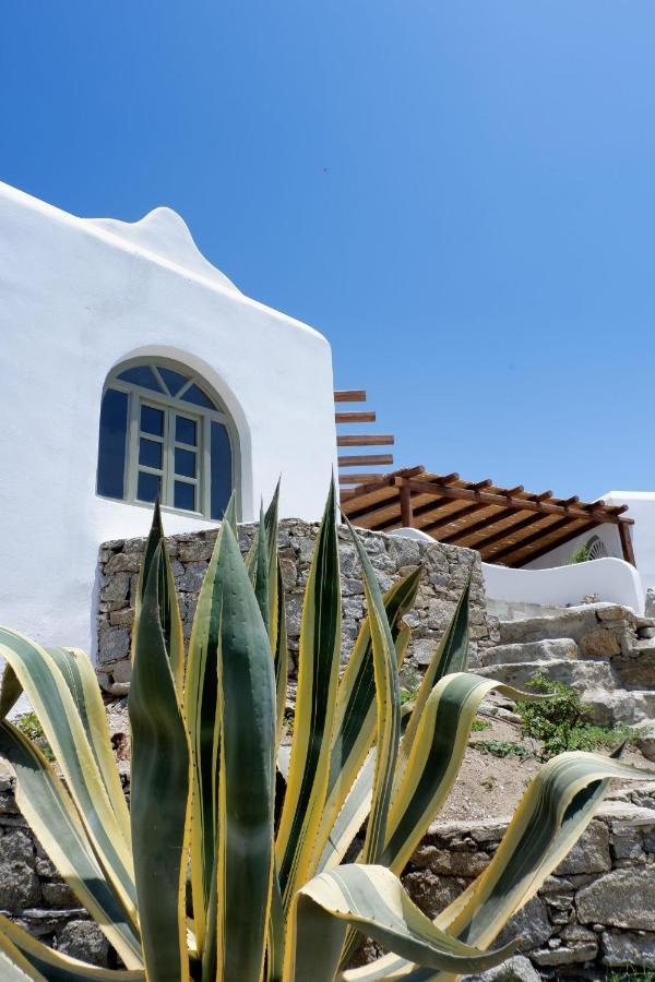 Tavros Villa Mykonos Town Kültér fotó